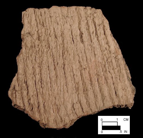 Coulbourn cord-marked rim sherd from Wolfe Neck, site 7S-D-10/3-Courtesy of the Delaware State Museums.